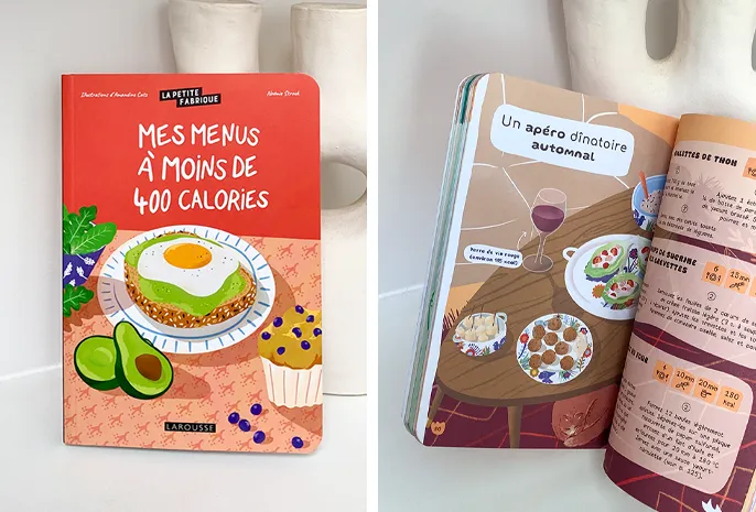 Livre Larousse Illustrations Amandine Catz